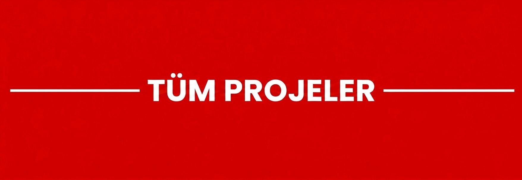 Tüm Projeler